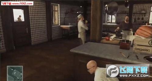 章叔爆料视频大全集免费观看,独家揭秘，免费观看，一网打尽